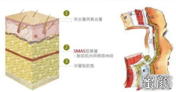 https://img.yiyiaimei.com/mnt/timg/210119/1922352292-4.jpg