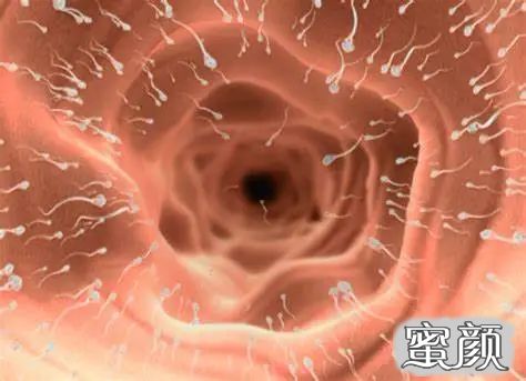 https://img.yiyiaimei.com/mnt/timg/210120/13155133E-3.jpg
