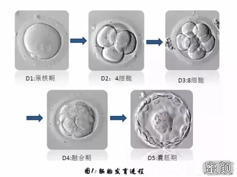 https://img.yiyiaimei.com/mnt/timg/210124/1639522132-0.jpg