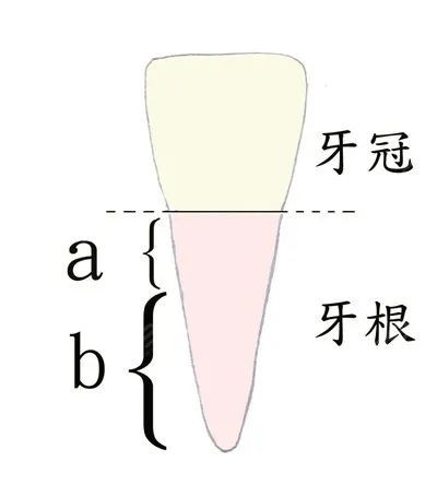 案例图片