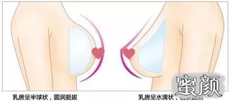 案例图片