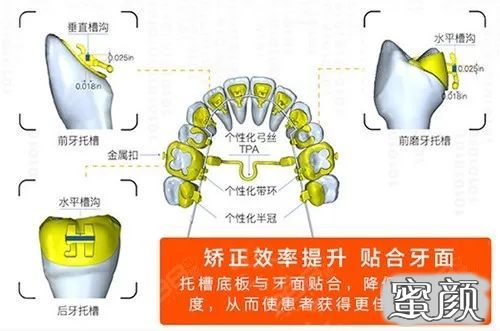 案例图片