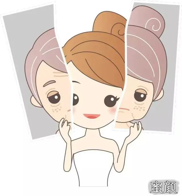 案例图片