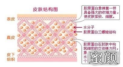 案例图片