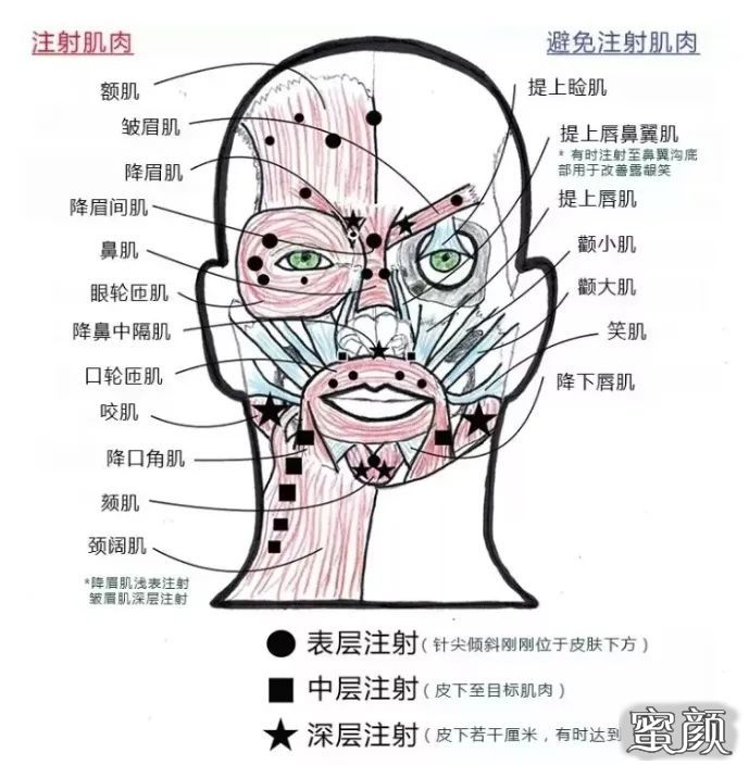 案例图片