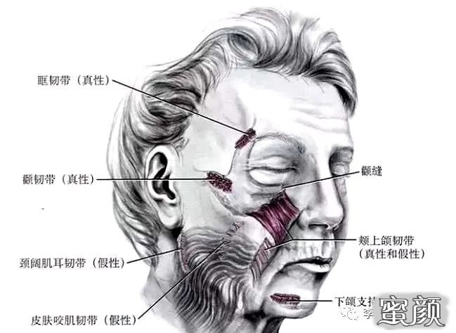 案例图片