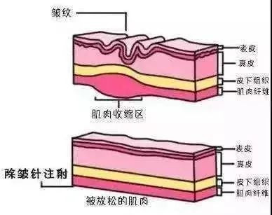 https://img.yiyiaimei.com/mnt/timg/210201/2242222456-0.jpg