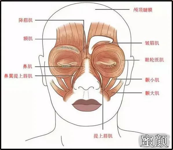 https://img.yiyiaimei.com/mnt/timg/210201/22422H135-7.jpg