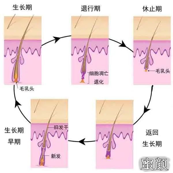 案例图片