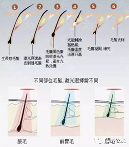 案例图片