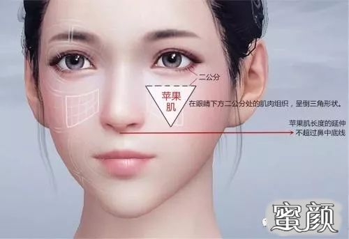 案例图片