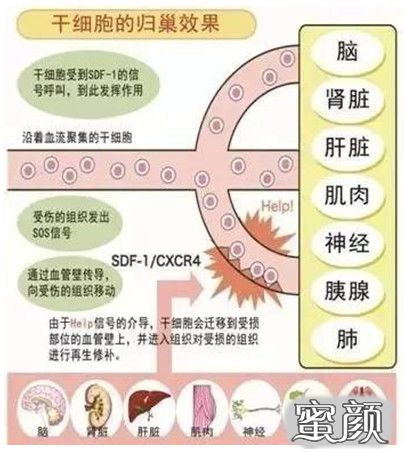 案例图片