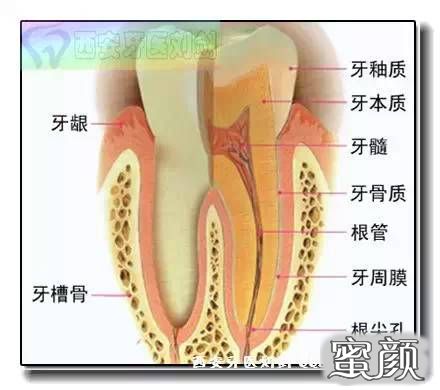 案例图片