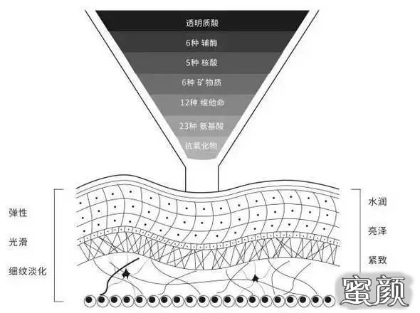 案例图片