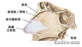 案例图片