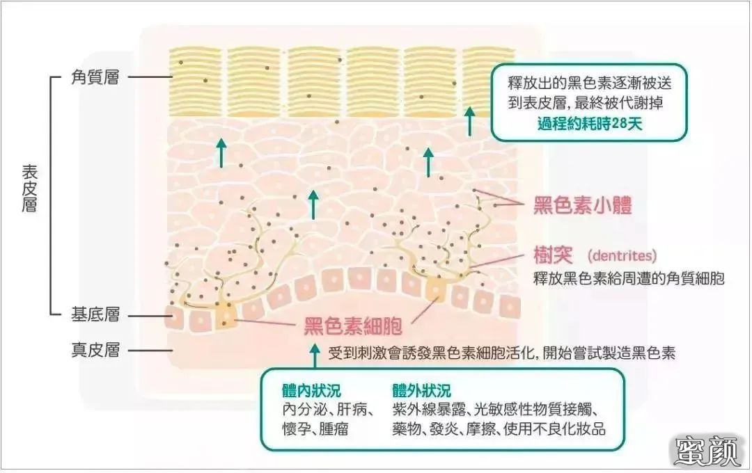 案例图片