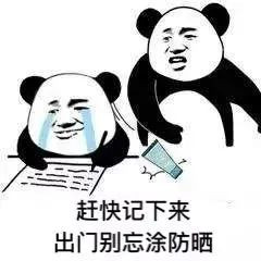 案例图片