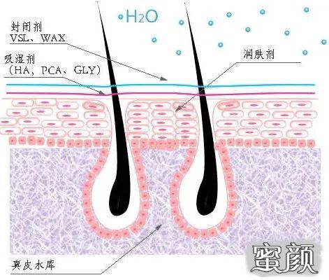 案例图片