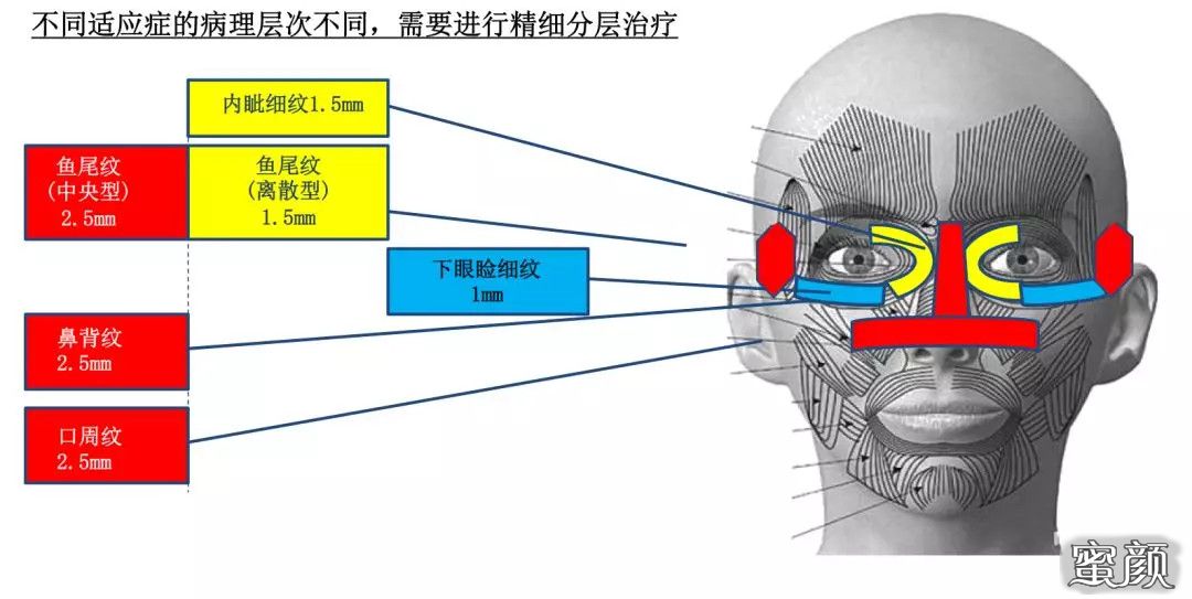 案例图片