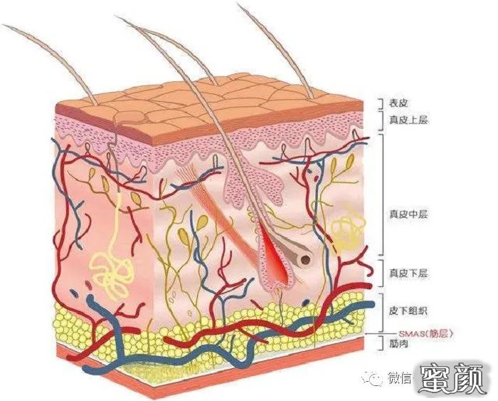 案例图片