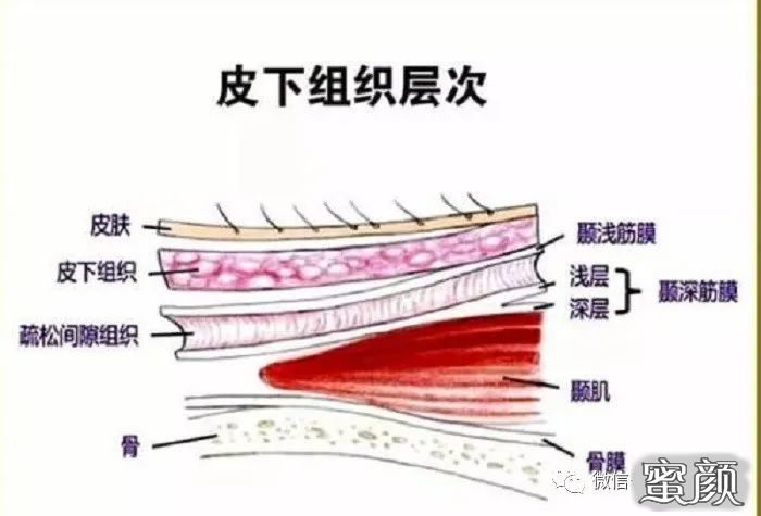 案例图片