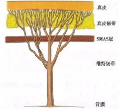 案例图片