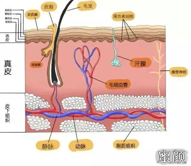 案例图片