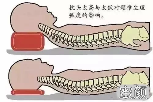 案例图片