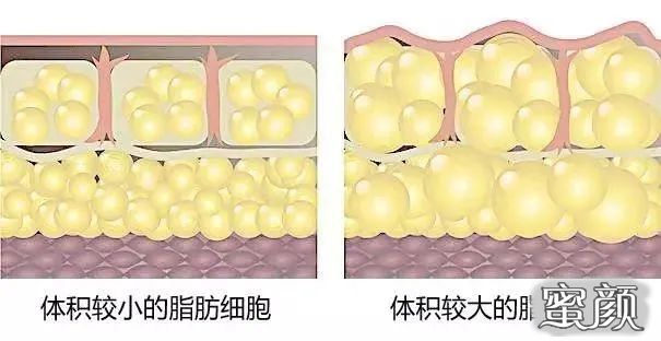 案例图片