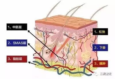 案例图片