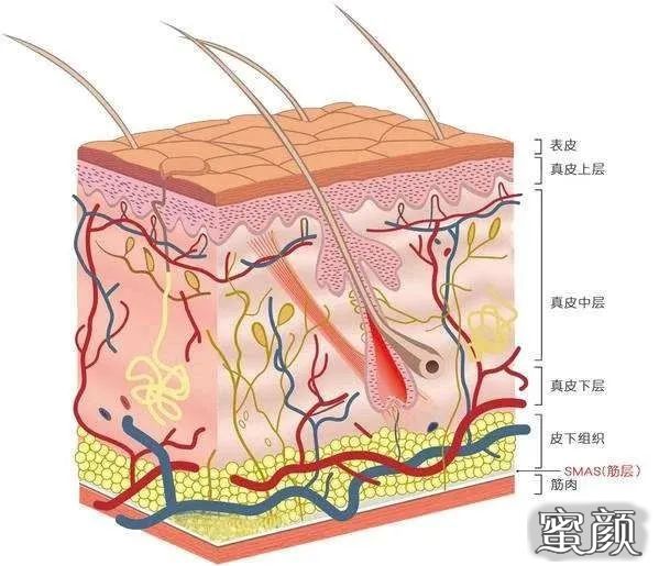 案例图片