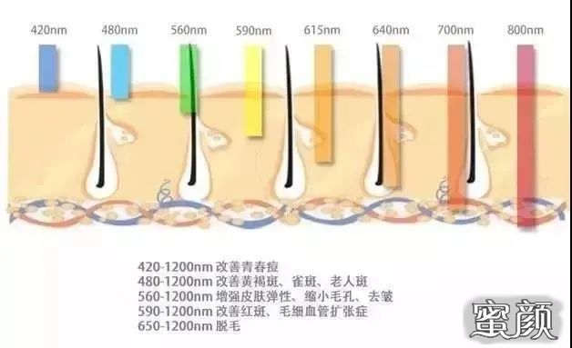 案例图片