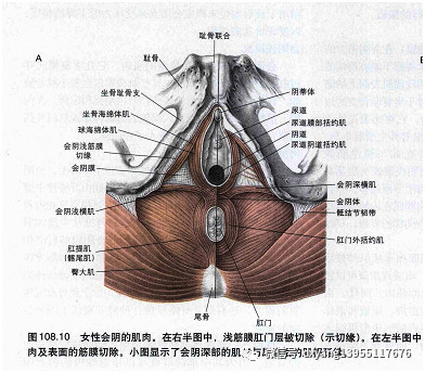 案例图片