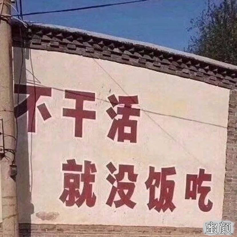 案例图片