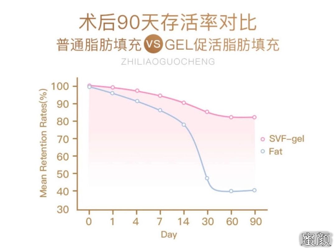 案例图片