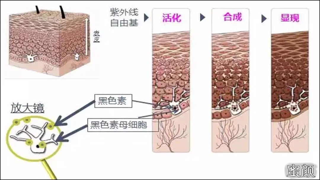 案例图片