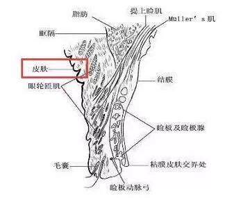 案例图片