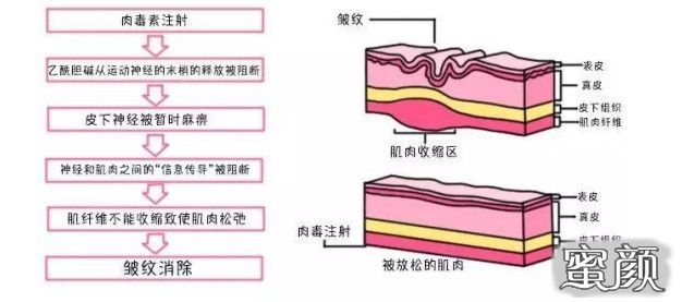 案例图片