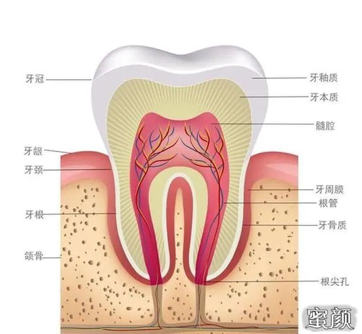 案例图片