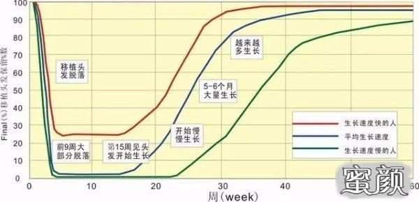 案例图片