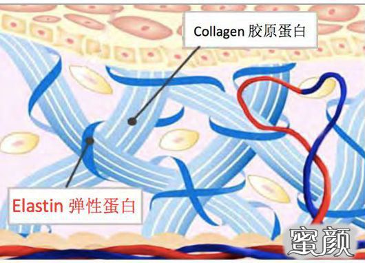 案例图片