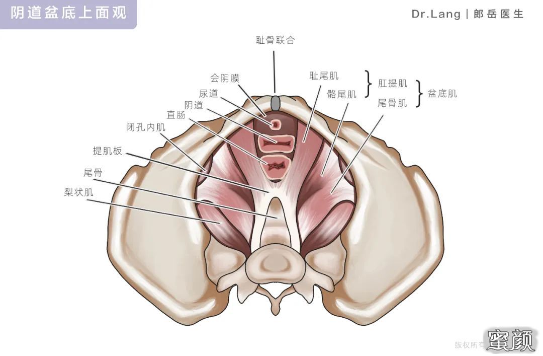 案例图片