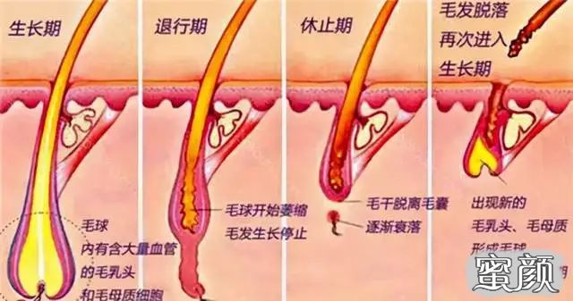 案例图片