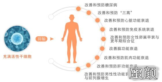 案例图片