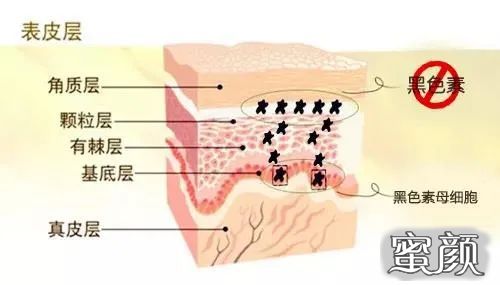 案例图片