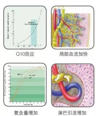 案例图片