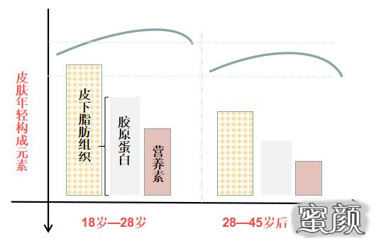 案例图片