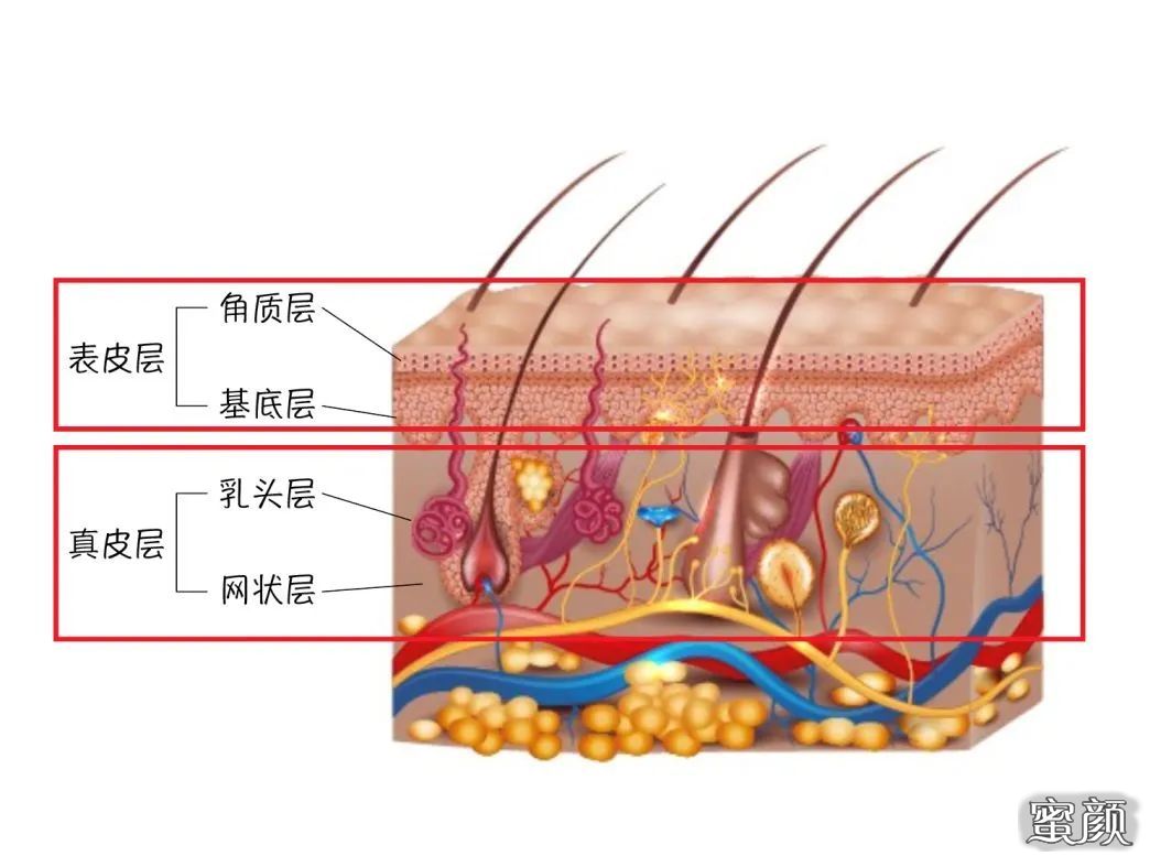 案例图片