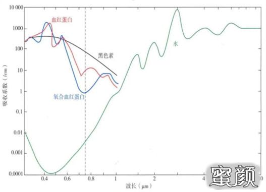 案例图片