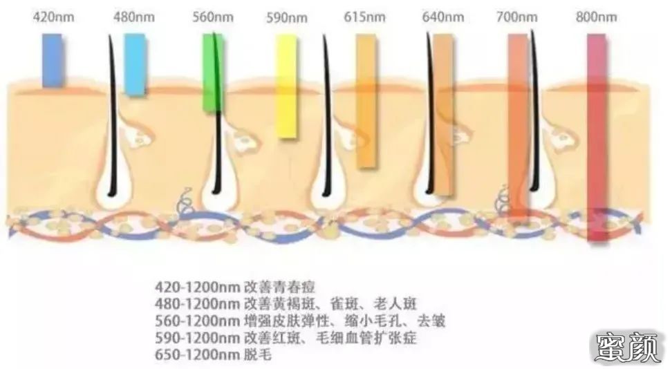 案例图片